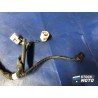Faisceau de bobine d'allumage HONDA 600 CBR 1999 à 2002. 
