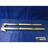 Paire de tube de fourche TM RACING 250 2 TEMPS MX 2019 à 2021.