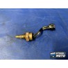 Sonde