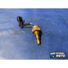 Sonde