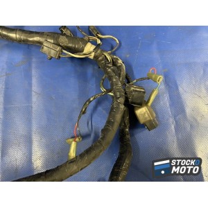 Faisceau électrique principale 