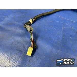 Faisceau électrique principale 
