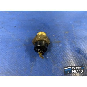 Sonde de température 