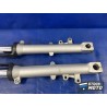 Paire de tube de fourche 