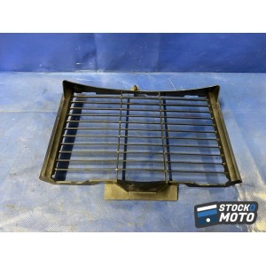 Grille de radiateur 