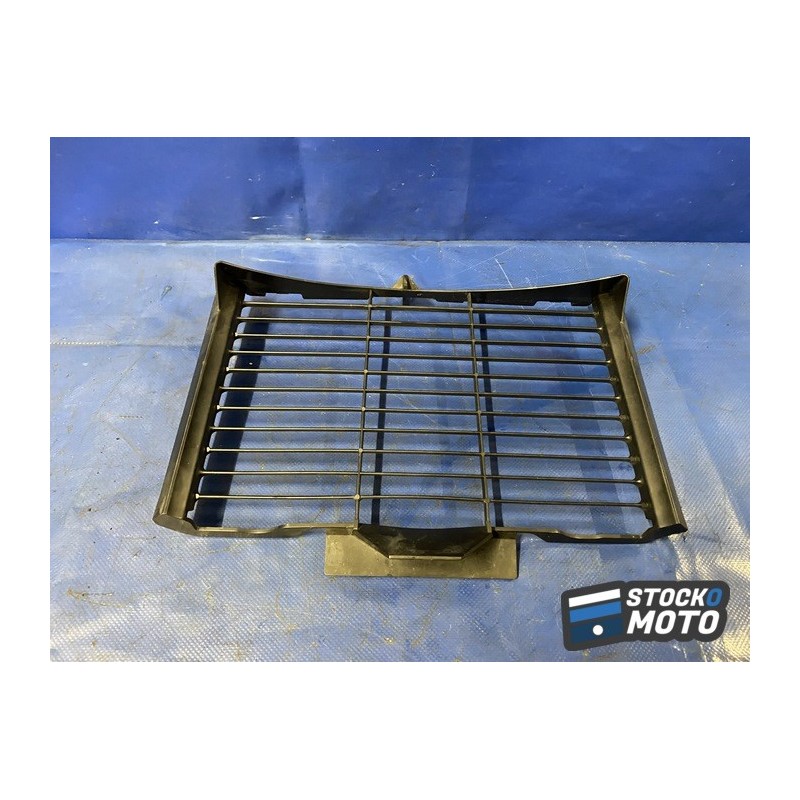 Grille de radiateur 