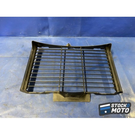 Grille de radiateur 