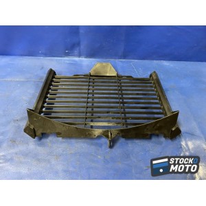 Grille de radiateur 