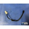 Cable de sonde 