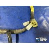 Faisceau électrique principale 