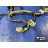 Faisceau électrique principale 
