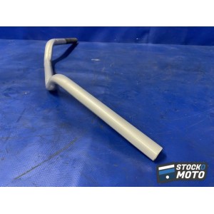 Guidon 