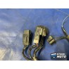 Faisceau électrique avant 