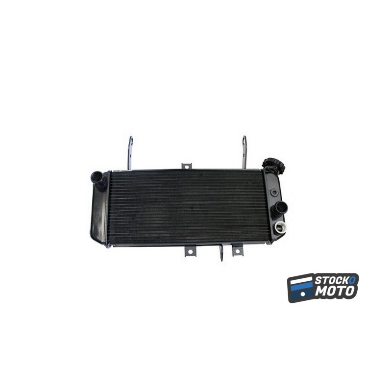Radiateur d'Eau adaptable SUZUKI SV 650 2003-2015