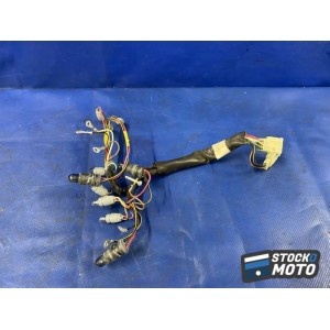 Faisceau de compteur 