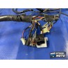 Faisceau électrique principale 