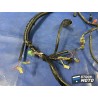 Faisceau électrique principale 