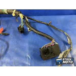 Faisceau électrique principale 