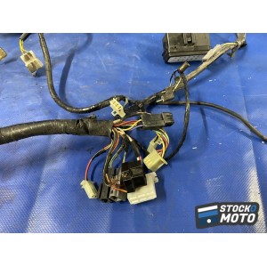 Faisceau électrique principale 