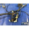 Faisceau électrique principale 