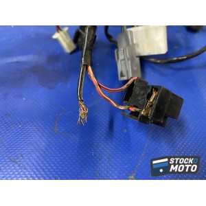 Faisceau électrique principale 