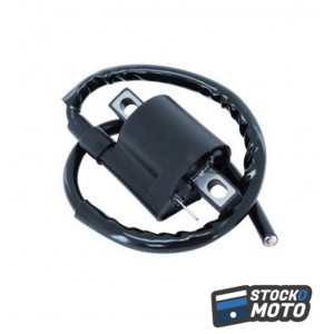 BOBINE ALLUMAGE 50 A BOITE...