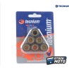 Jeu de galets TECNIUM 16x13mm 7,5gr - 6 pièces