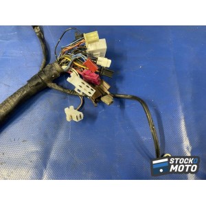 Faisceau électrique principale 