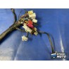 Faisceau électrique principale 