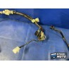 Faisceau électrique principale 