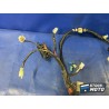 Faisceau électrique principale 
