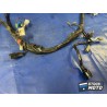 Faisceau électrique principale 
