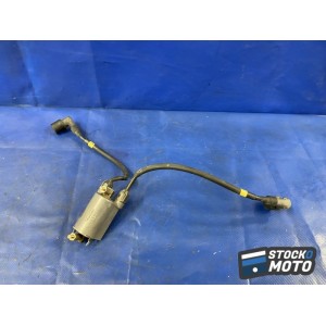 Bobine crayon d'allumage 1-4 