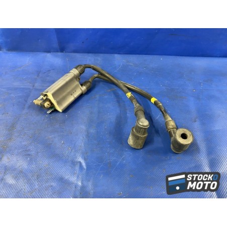 Bobine crayon d'allumage 2-3 