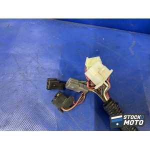 Faisceau électrique principale 