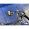 Faisceau électrique principale 