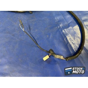 Faisceau électrique principale 
