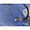 Faisceau électrique principale 