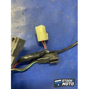 Faisceau électrique principale 