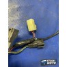 Faisceau électrique principale 