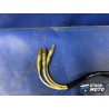 Stator alternateur d'allumage 