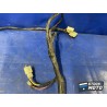 Faisceau électrique principale 