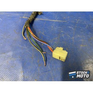 Faisceau électrique principale 