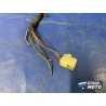 Faisceau électrique principale 