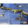 Faisceau électrique principale 