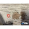 Cache sous selle droit 