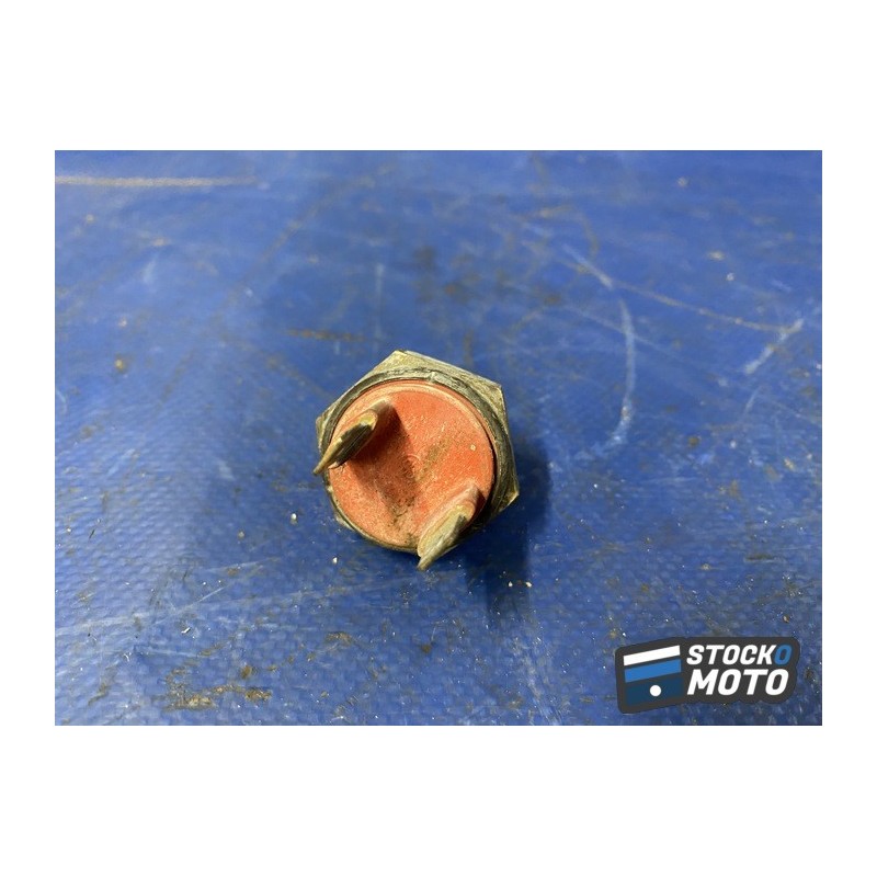 Sonde de température 