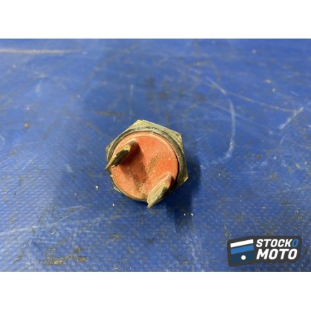 Sonde de température 