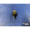 Sonde 