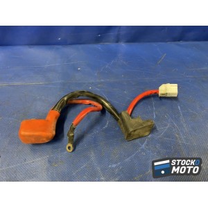 Cable de charge de batterie 